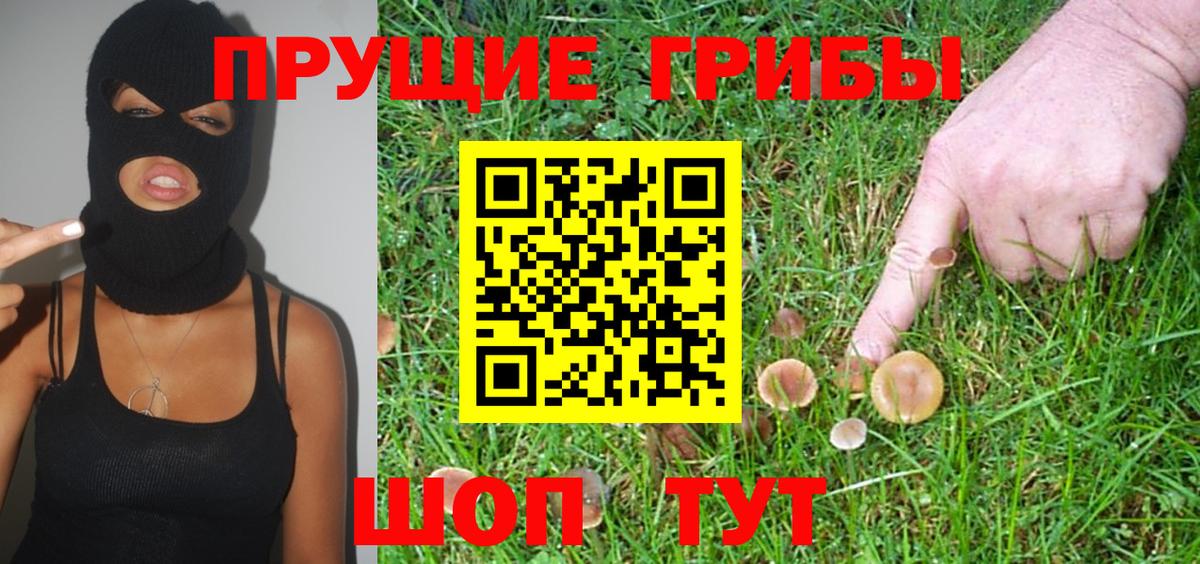 Галлюциногенные грибы Cubensis Ноябрьск