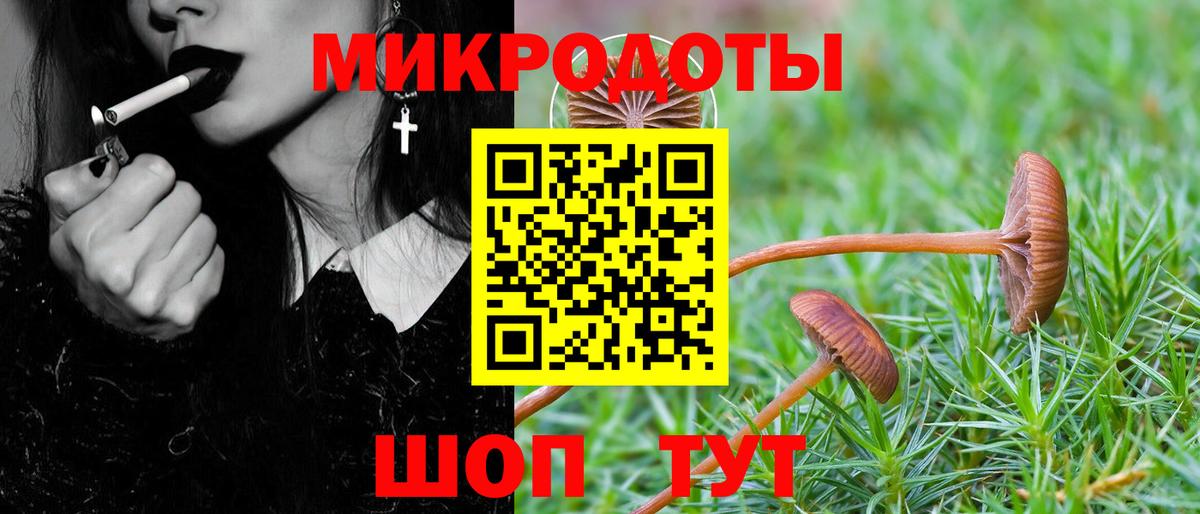Ноябрьск  Псилоцибиновые грибы Psilocybe  Вход с VPN  Галлюциногенные грибы мухоморы 