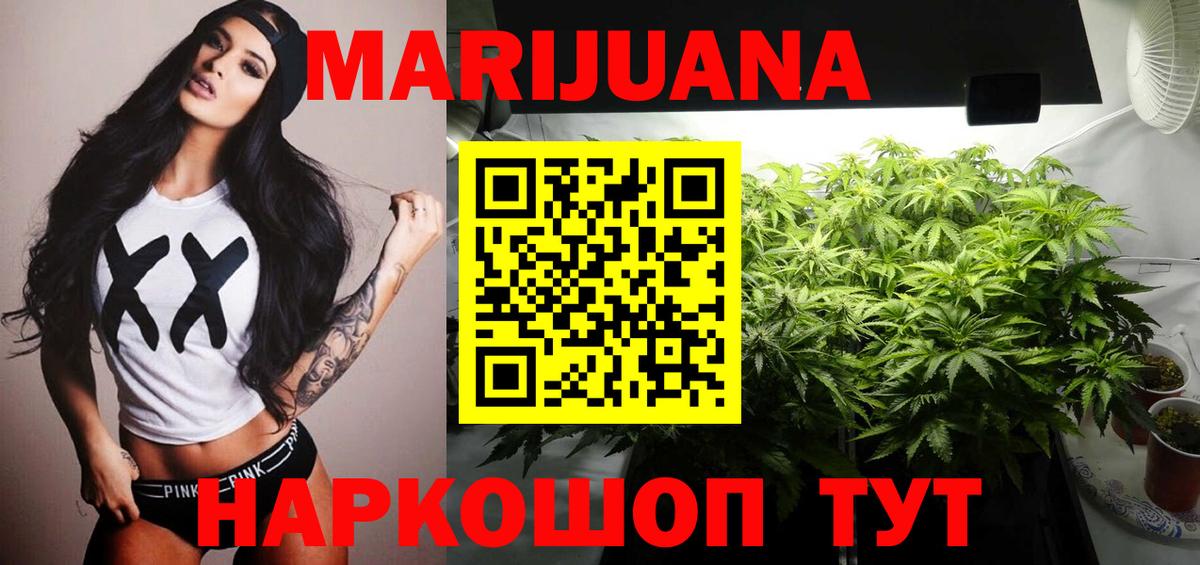Каннабис индика Ноябрьск